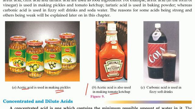 Part 1 | Acid, Base & Salt | Indicator | Strong and Weak acid | CBSE CLASS 10 смотреть онлайн