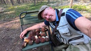 По дороге домой заехал в лес часик погулять. В лесу красота и грибов отличных нашёл. Пос. Климово.