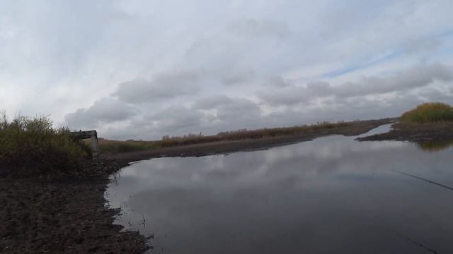 В этой луже вода кипит от карася и карпа,Рыбалка на карася и карпа в осеннее время! смотреть онлайн