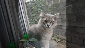 Ушёл туда где небеса ❤️Gone to where the heavens are