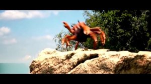 //Crab Rave 10 Hours//Волна крабов 10 часов//