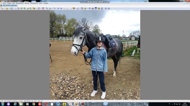 фотки лошадей на которых я ездила смотреть онлайн