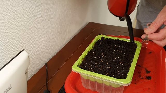 Микрозелень Редиска. За 10 дней смотреть онлайн