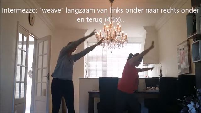 Flashmob bruiloft G & Linde смотреть онлайн