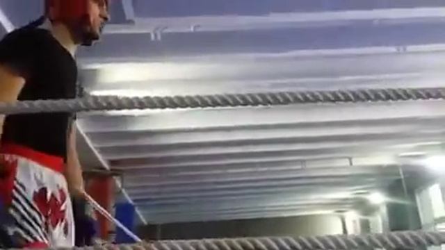 Тарзан Крауч (Golden Glory) Досрочная победа на Кубке Камакура (06.01.2016) смотреть онлайн