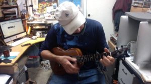 Free Fallin Tom Petty Cover by Art Fernandez on his Romero Creations Grand Tenor ukulele