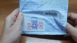 СЕМЕНА ВЕГЕТАТИВНЫХ КОЛЕУСОВ