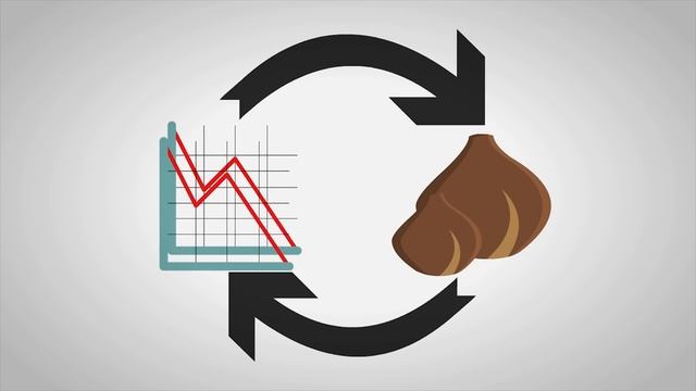 Tulip mania III │ How Financial Bubbles Burst