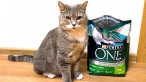 Корм для кошек Purina One  "Для домашних кошек"