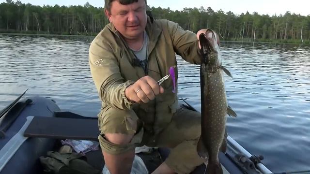 Рыбалка мечты! Крупные хищники гнут спиннинги