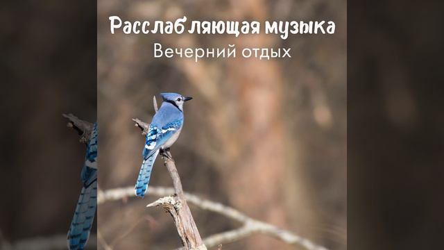 Текущий ручей