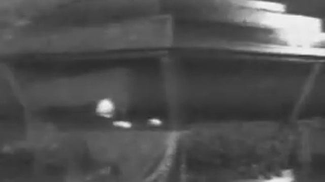 Ленин жил, Ленин жив, Ленин будет жить! смотреть онлайн