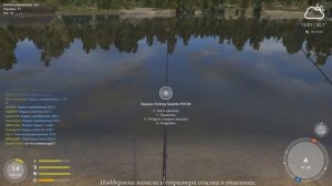 Русская рыбалка 4 .Фидер начинающего  на Комарином.
