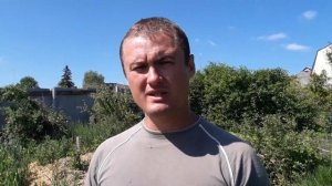Почему не плодоносит голубика.
