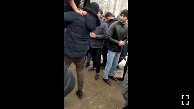 РАКОСА ТУЙЯ КАФОНД ?? смотреть онлайн