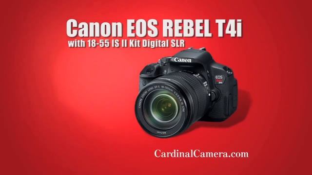 Cardinal Camera Holiday смотреть онлайн