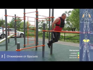 Моя тренировка на турниках и брусьях