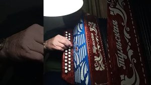 БЕЛЫМ СНЕГОМ на гармони 27