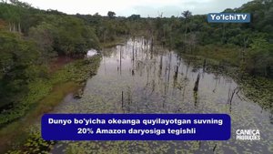 Amazon daryosi va o'rmoni haqida faktlar