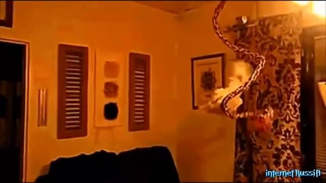 Мега ржач СМЕШНЫЕ Приколы Гуси 18+ смотреть онлайн