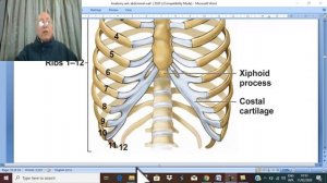 Anatomy GIT module in English 2021 ( Transversus abdominis muscle) ,by Dr.Wahdan