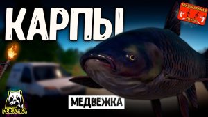 РР4/ рыбалка для души, ловим как универсал, общаемся 05.12.23