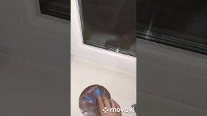 Как шлифовать пол ОСБ