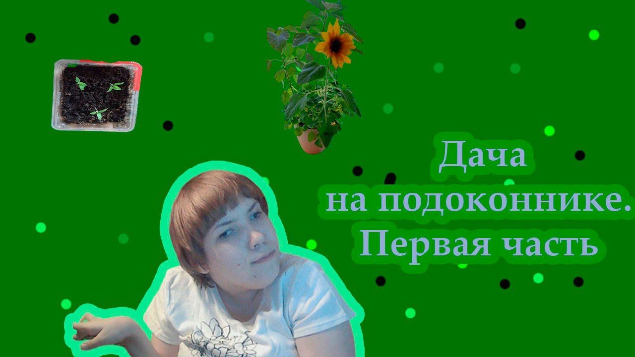 Дача на подоконнике. Первая часть смотреть онлайн