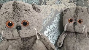 вечерний влог знакомства с членами семьи у нас новый котик