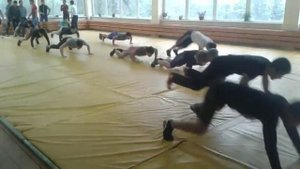 Разминка борцов