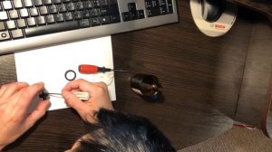 Ремонт колёсика мышки ASUS Cerberus Mouse