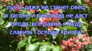 Так уж бывает летней порою