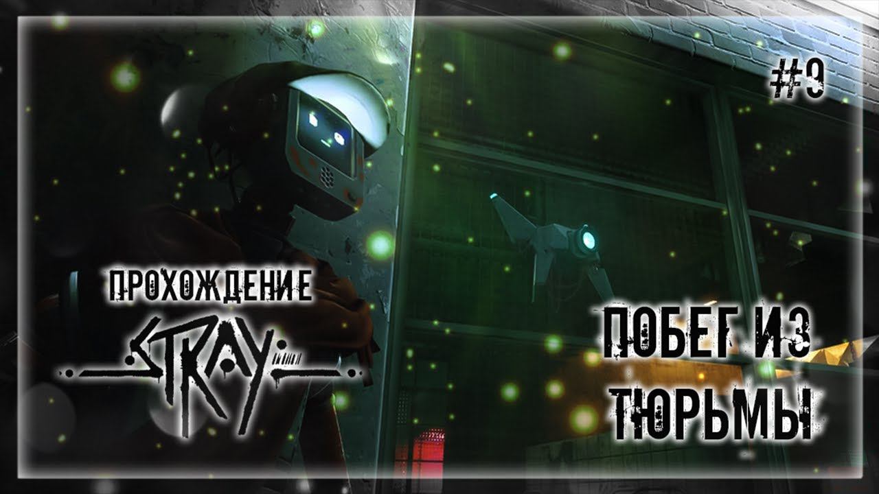 ПОБЕГ ИЗ ТЮРЬМЫ | Прохождение STRAY #9