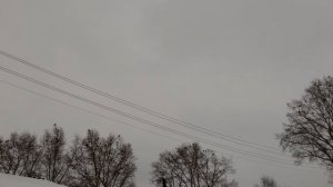 Вороны каркают, воронье карканье