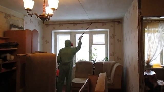 Уничтожение клопов в квартире
