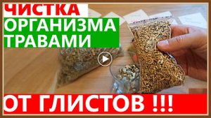 ТРАВЫ ОТ ГЛИСТОВ И ПАРАЗИТОВ