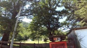 Заповедник Гузерипль. Адыгея. 2017г.