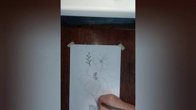 Рисуем цветы карандашом поэтапно Графика смотреть онлайн