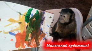 Как рисует маленькая домашняя обезьянка Алекса!