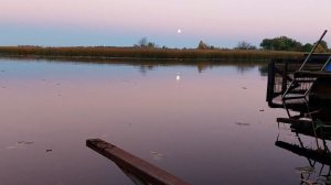 Посёлок #Рыбачий.Воронеж. Осень. 2022г