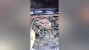Удаление катализаторов Мазда CX-5 2014г.в. Установка пламегасителией.
