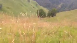 НИВА СЛОМАЛАСЬ РАЗДАТКА