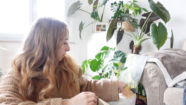 BOX MYSTERE VERTIGEA + YOUNG BOTANIST | Que la chance soit avec moi ! смотреть онлайн