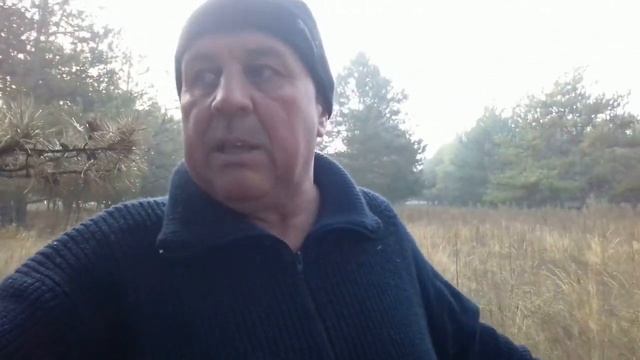 Грибов нет,но есть зайцы. смотреть онлайн