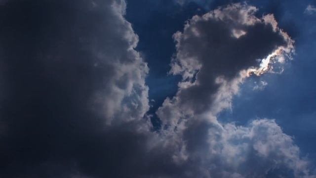 2023 год. Славянский календарь животных по годам. Какой покровитель в 2023 году?