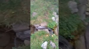 Красивые места в Заокском районе!!!