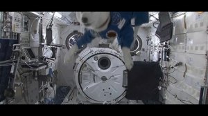 Собака в космосе/Dog in Space