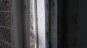 Как сделать обрамление на окне. Важная инструкция.