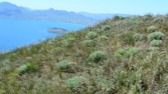 DSC_3475 смотреть онлайн