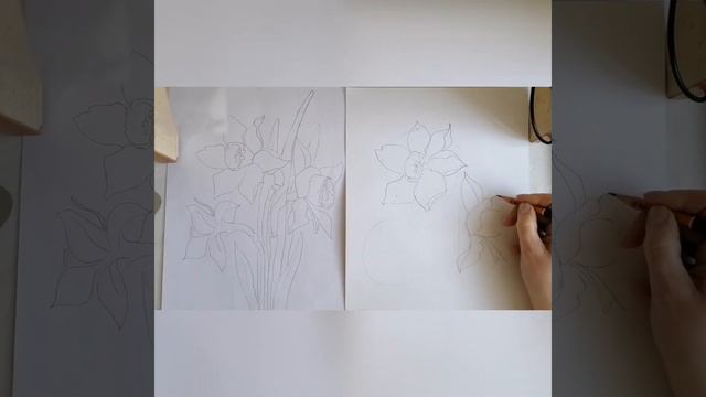 Жовті Нарциси#1. Самий простий малюнок квітів. Шаблон - розмальовка в коментарях смотреть онлайн